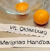 Das Los Merignac vs. Oldenburg