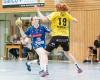 Lotto-Cup 2014 in Ludwigsburg: Anna-Lena Artschwager von SG H2Ku Herrenberg (H2Kuties) im Spiel gegen den TV Nellingen