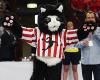 EHF Cup Finale 2016, DKKA - TuS Metzingen: Maskottchen von Dunaujvaros KKA