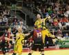 Vlatko Mitkov - Bregenz Handball BRE-TIR TIR-BRE