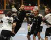 Bregenz Handball, Lukas Frhstck, Viertelfinale HB-Cup gegen BT Fchse Auto Pichler 